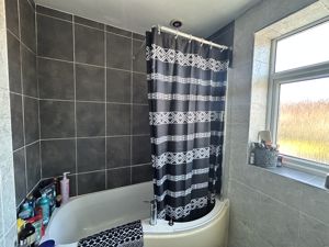 Photo 15- click for photo gallery